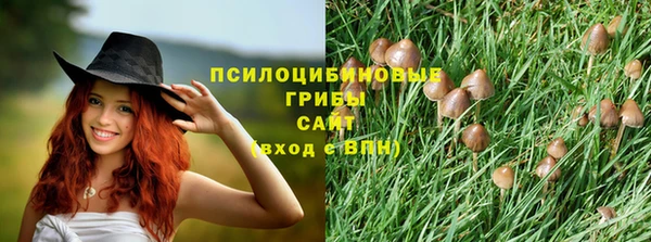 дмт Пестово