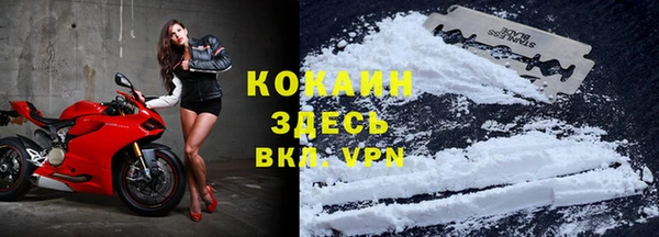 стафф Абинск