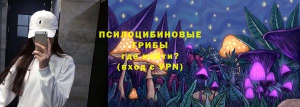 стафф Абинск