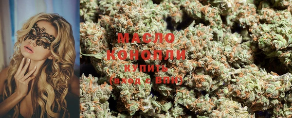 дживик Пересвет