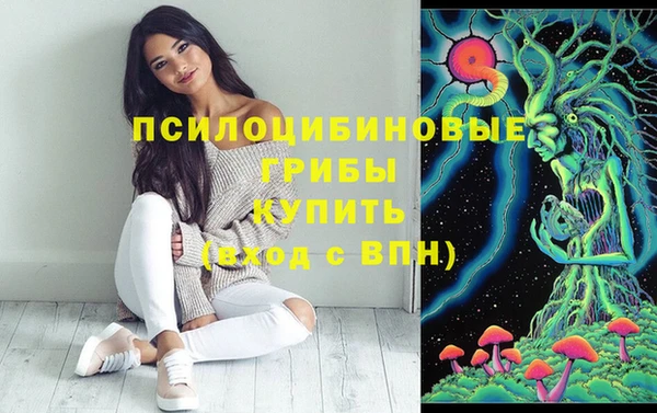 стафф Абинск