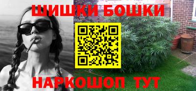 молекула духа Кингисепп