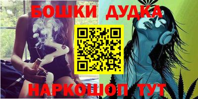 молекула духа Кингисепп