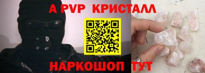 молекула духа Кингисепп