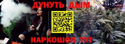 молекула духа Кингисепп