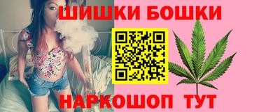 молекула духа Кингисепп