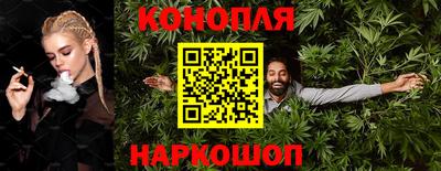 молекула духа Кингисепп