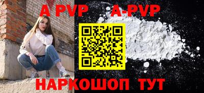 молекула духа Кингисепп