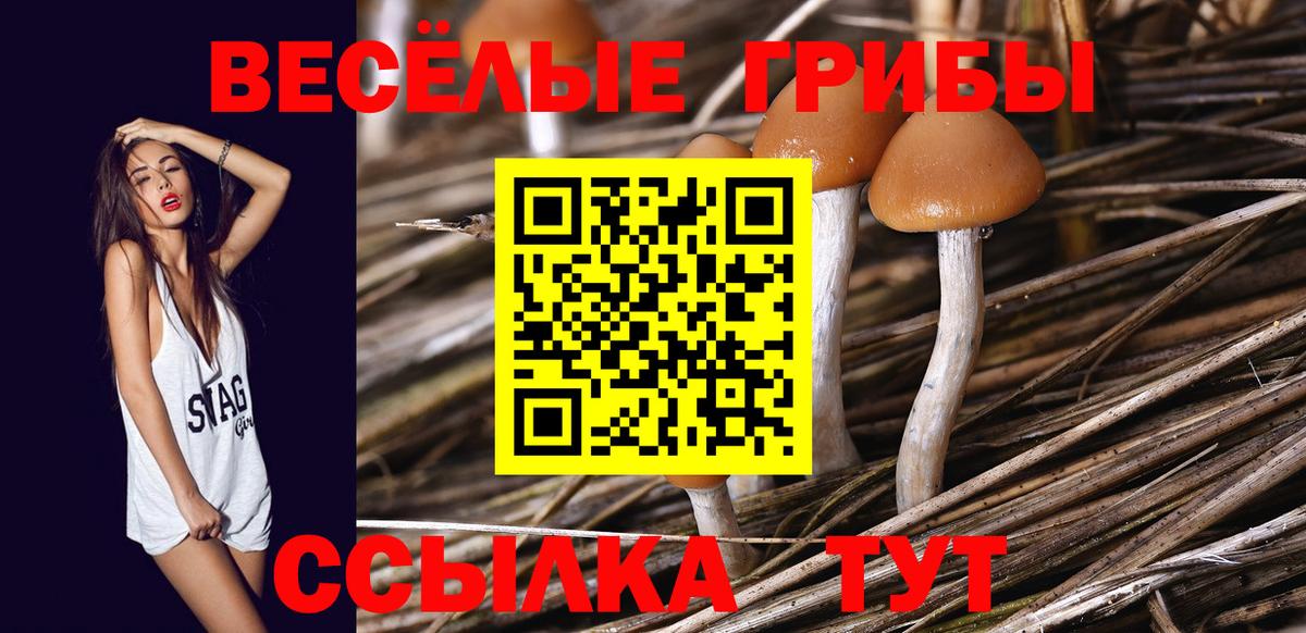 Псилоцибиновые грибы Magic Shrooms Майский