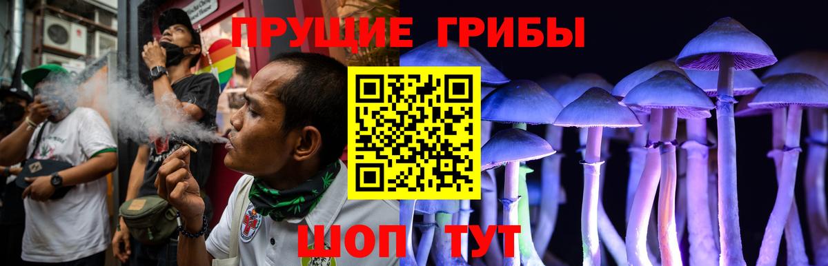 Галлюциногенные грибы GOLDEN TEACHER  Вход с VPN  Майский 